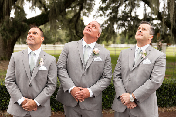 BPWOOLFORDWED0019