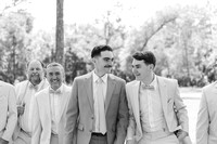BPSTOKESWEDD010