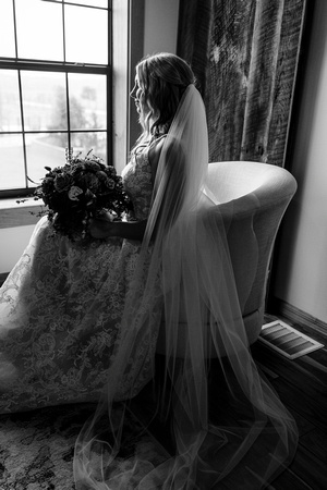HLTSHUTCKESWEDD013