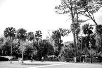 WEDOBAXLEYWEDD0006